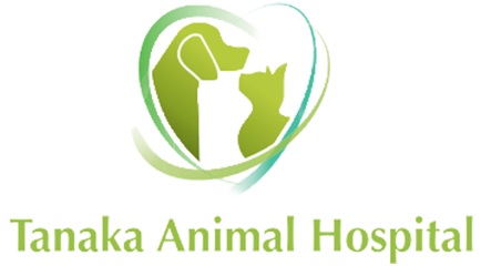 株式会社田中動物病院