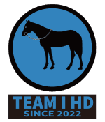 株式会社TeamIホールディングス