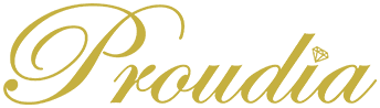 株式会社プラウディア