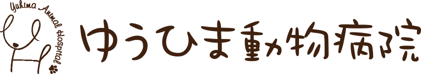ゆうひま動物病院